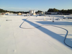 phoenix roof products